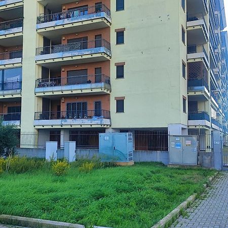 Love Home Apartament Near The Airport Fiumicino Eksteriør billede
